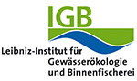 logo igb